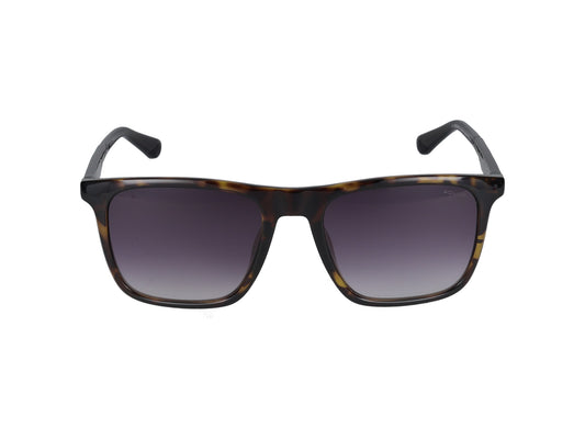 SPLF17 0978 54.00 / 0978