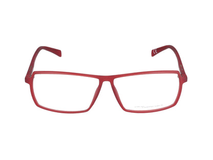 5562 strawberry 58.00 / strawberry