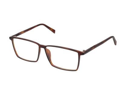 5572 havana 3 . 55.00 / havana 3 .