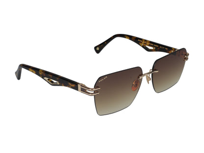 GOLD6000 428 62.00 / 428