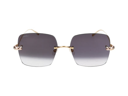 CT0508S 001 gold gold grey 60.00 / 001 gold gold grey
