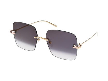 CT0508S 001 gold gold grey 60.00 / 001 gold gold grey