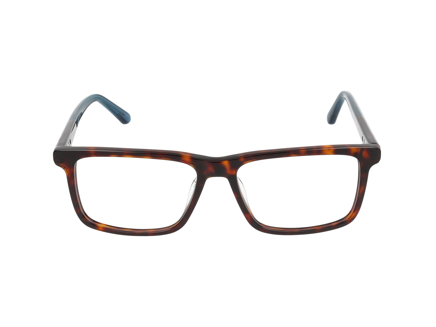 CK22544 CK22544 240 tortoise 55.00 / 240 tortoise