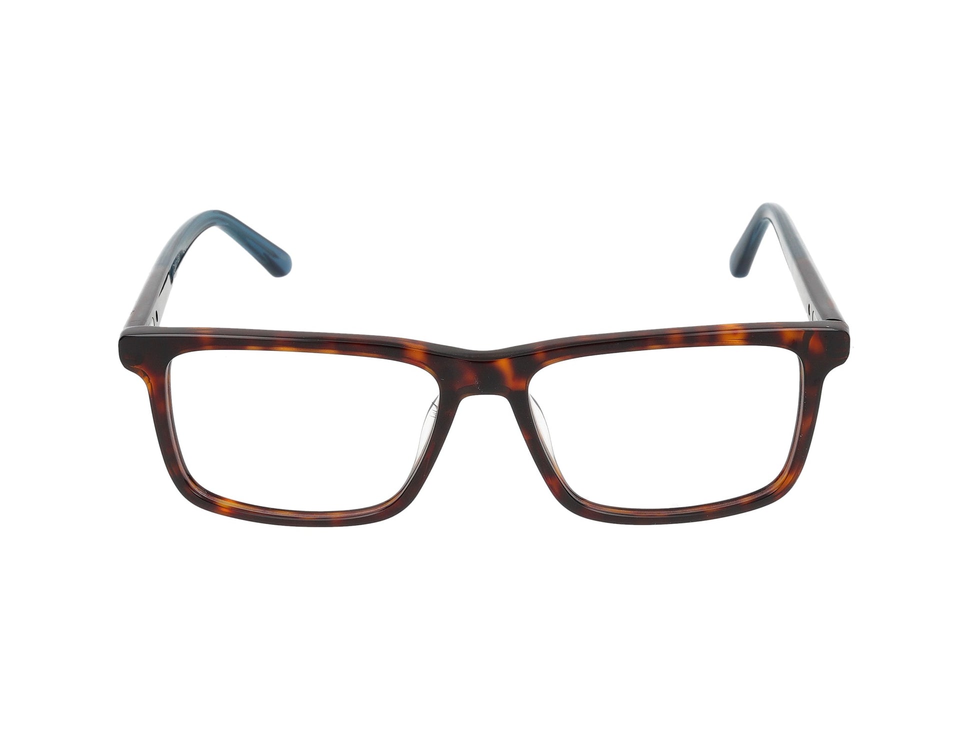 CK22544 CK22544 240 tortoise 55.00 / 240 tortoise
