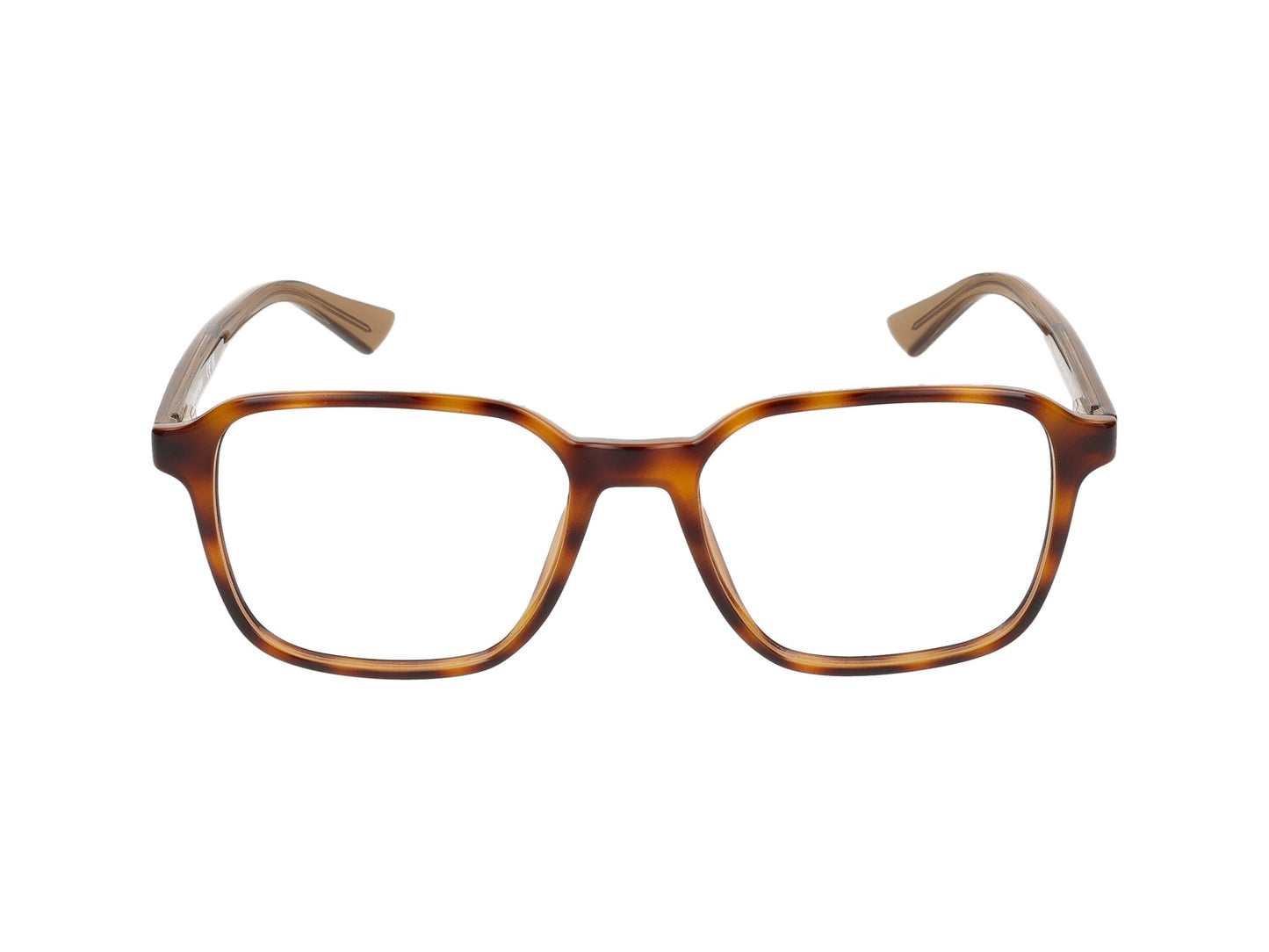 CK23524 CK23524 240 havana 52.00 / 240 havana