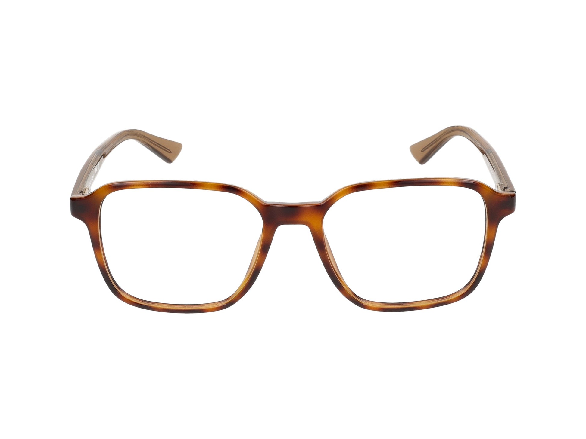 CK23524 CK23524 240 havana 52.00 / 240 havana