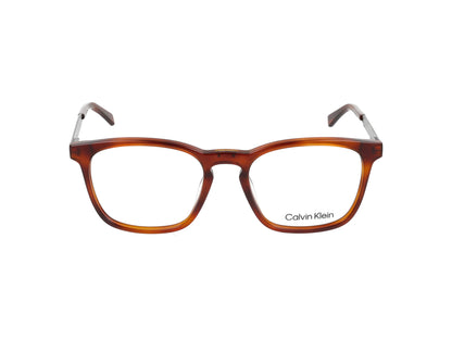 CK22503 CK22503 213 blonde havana 53.00 / 213 blonde havana