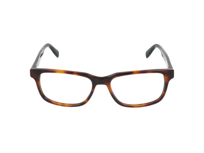 L2910 L2910 240 TORTOISE 55.00 / 240 TORTOISE