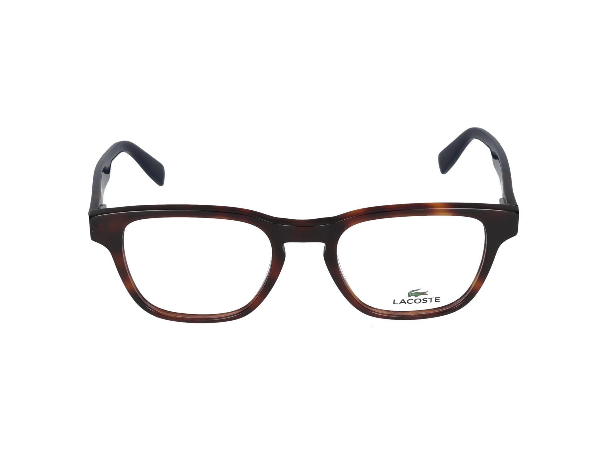 L2909 L2909 240 TORTOISE 51.00 / 240 TORTOISE